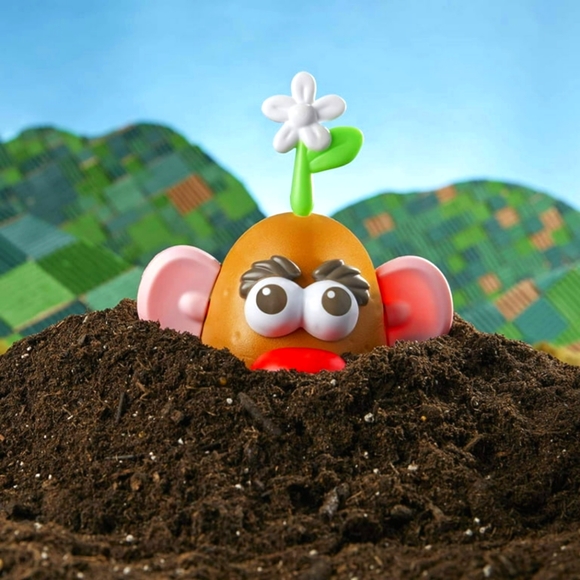 Mr. Potato Head Goes Green NIB - Picture 10 of 16